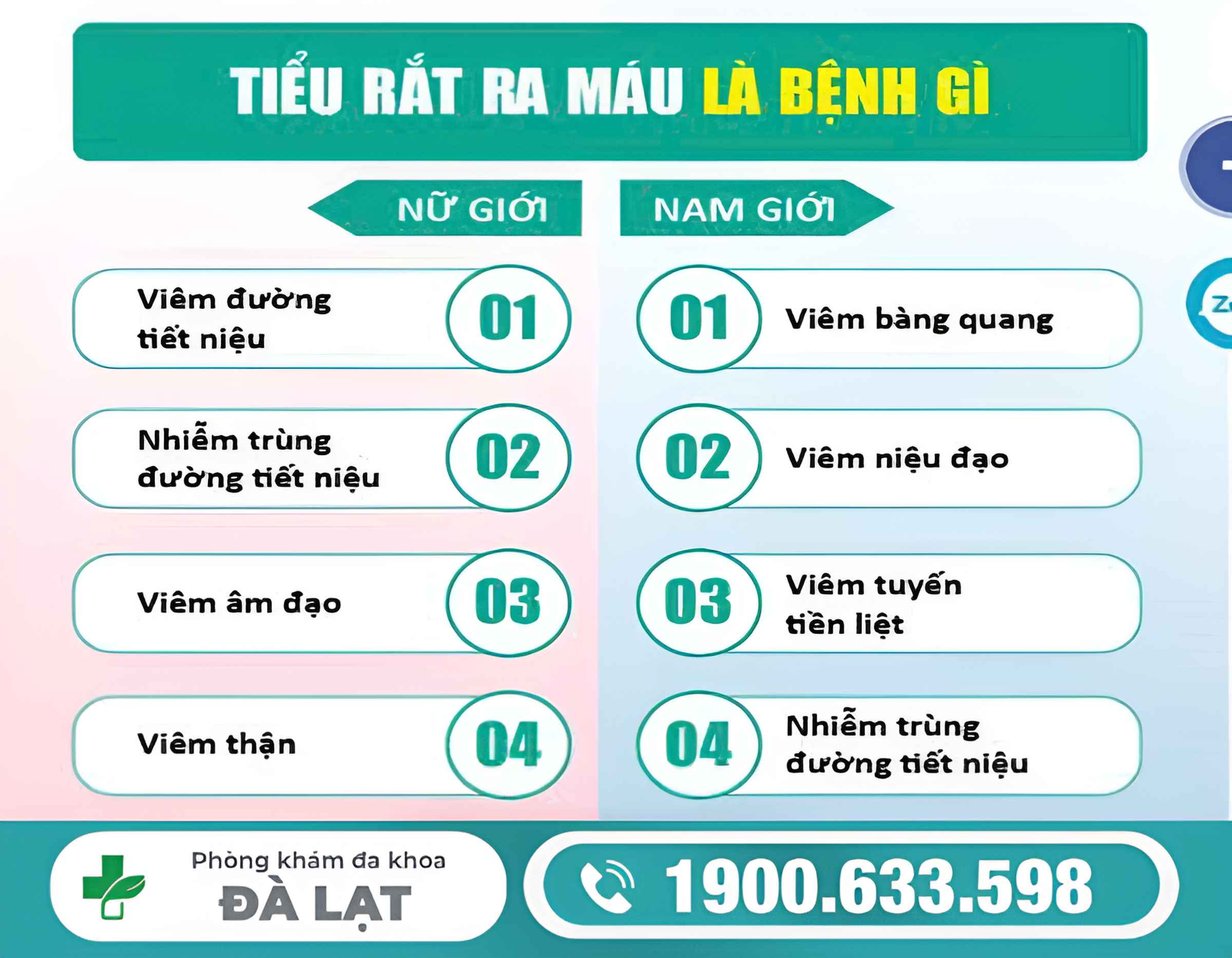 Hình ảnh minh họa